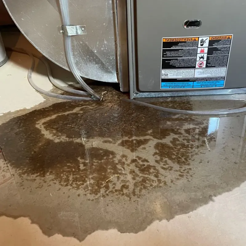 Pipe Burst and Leak Restoration in Vails Gate, NY